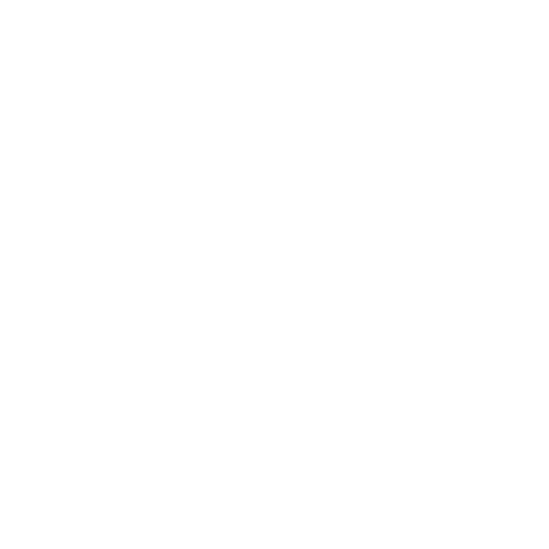 PLOREX logo